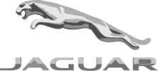 jaguar (Klein)